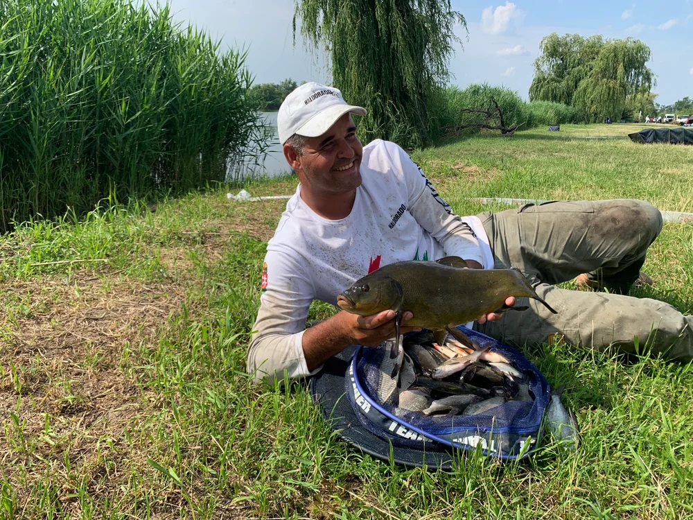 Image - latokep Kft - 1