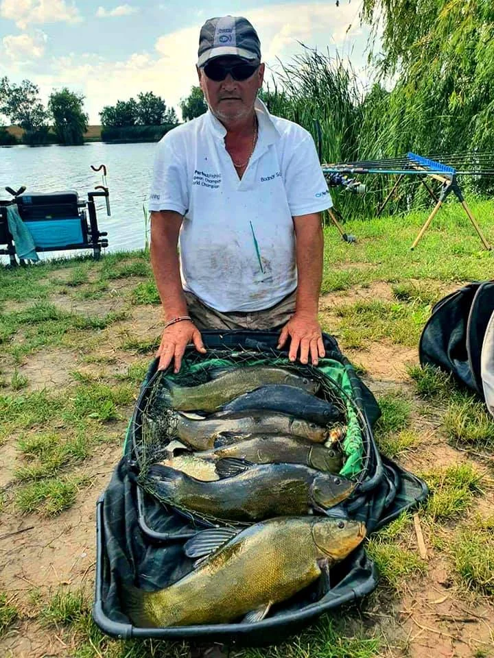 Image - latokep Kft - 2