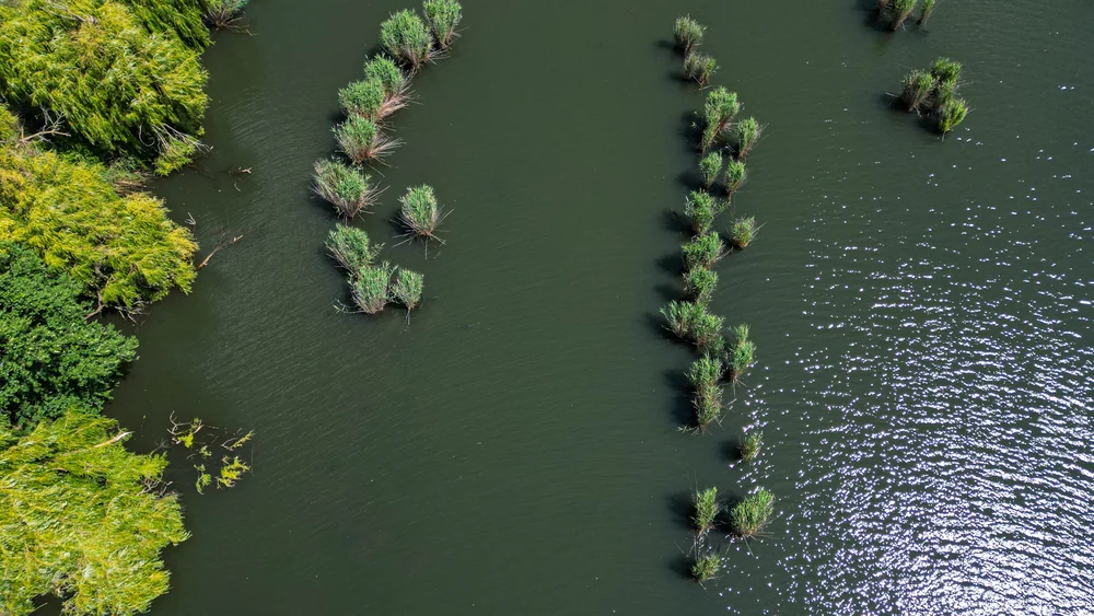 Image - latokep Kft - 3