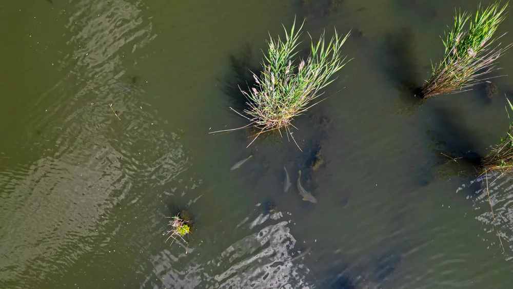 Elkészült a 2026-os versenynaptár