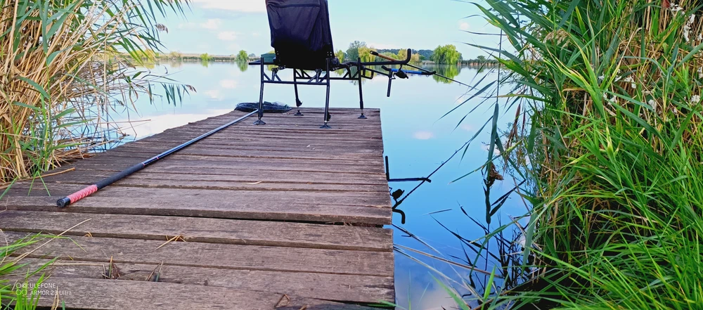 Image - latokep Kft - 2