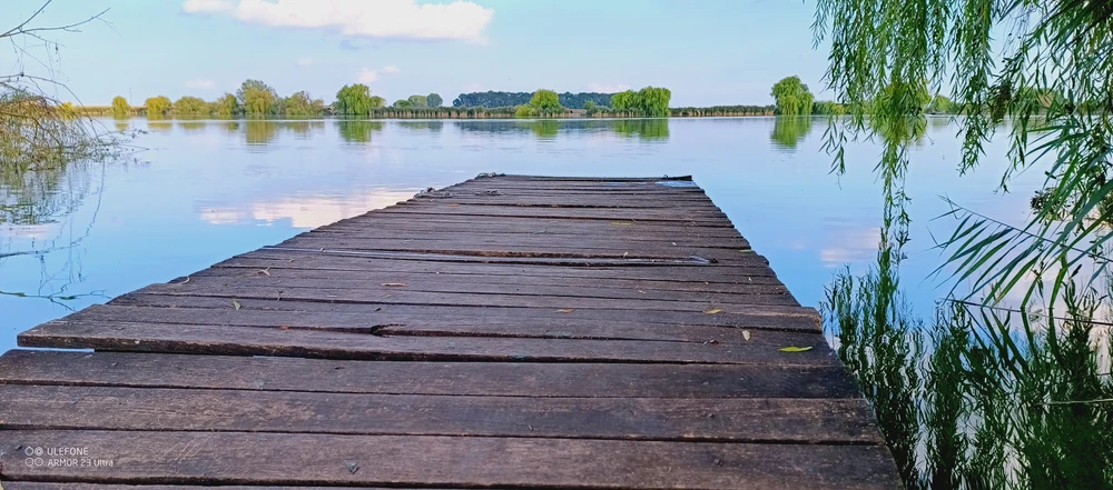 Image - latokep Kft - 2