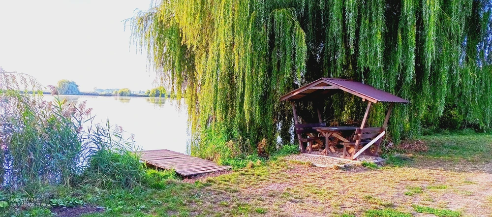 Image - latokep Kft - 3