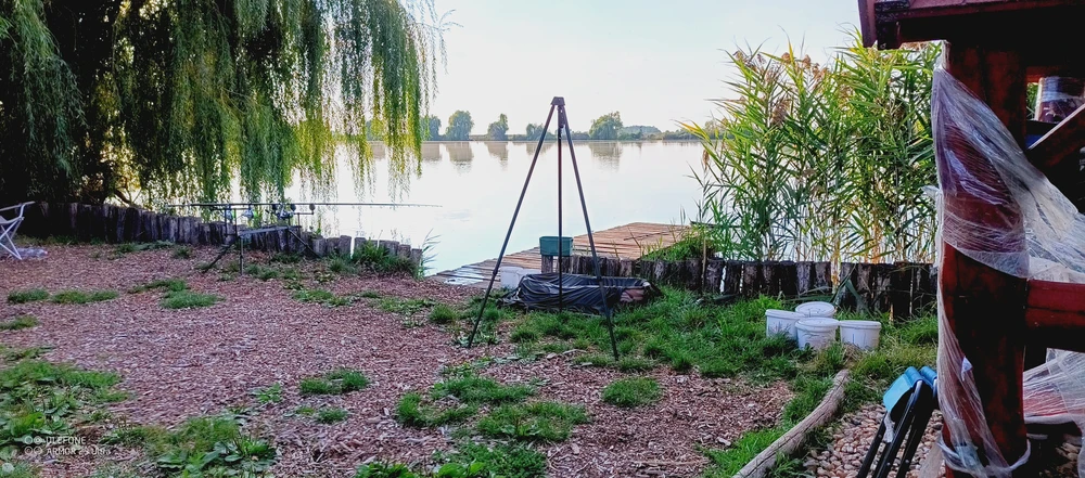 Image - latokep Kft - 3