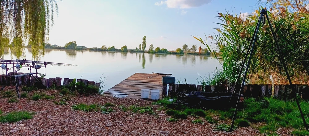 Image - latokep Kft - 4