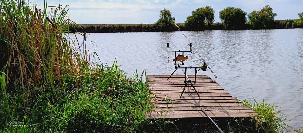 Image - latokep Kft -