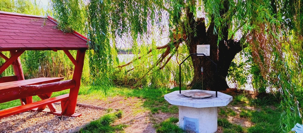 Image - latokep Kft - 5