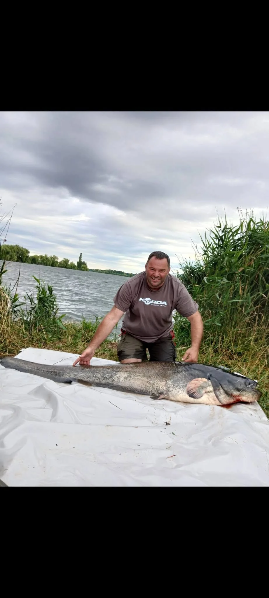 Image - latokep Kft - 1