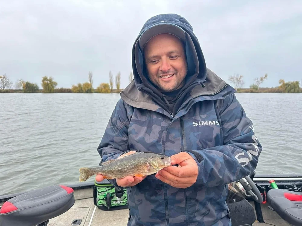 Image - latokep Kft - 2