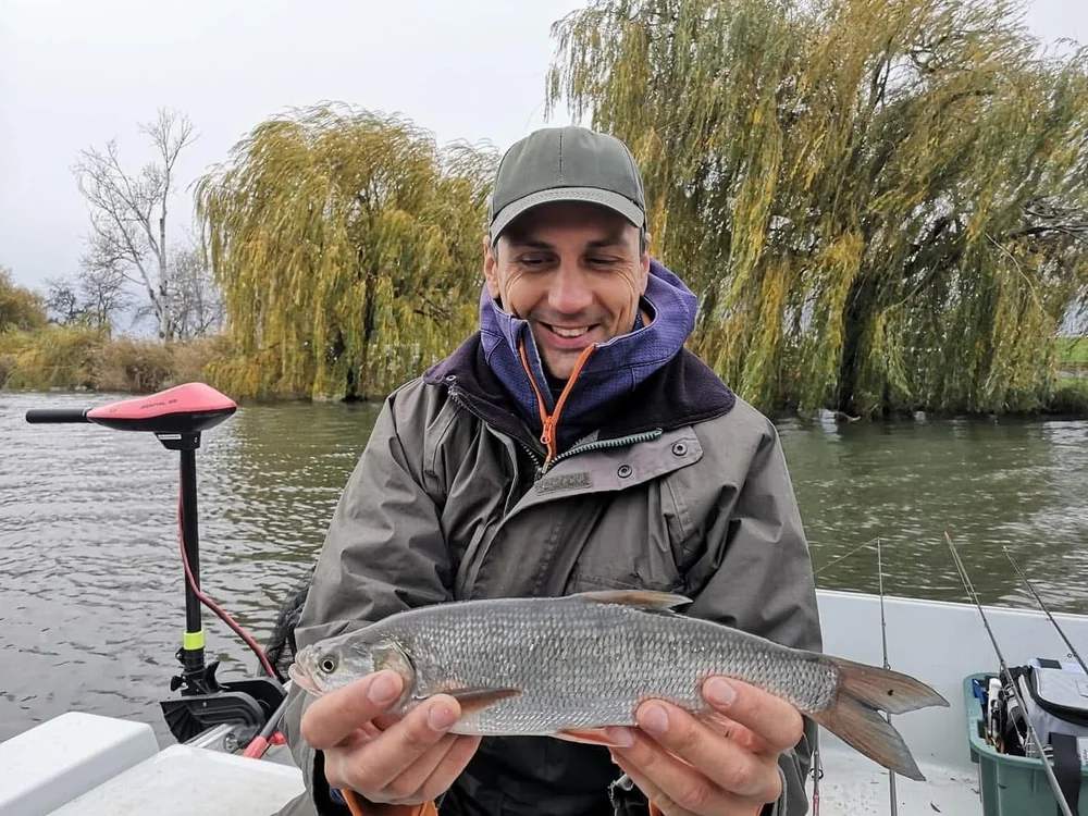 Image - latokep Kft - 3