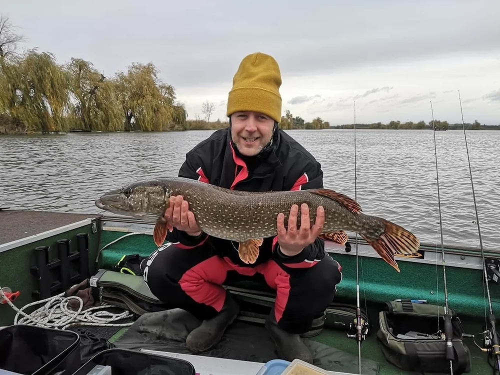 Image - latokep Kft - 4