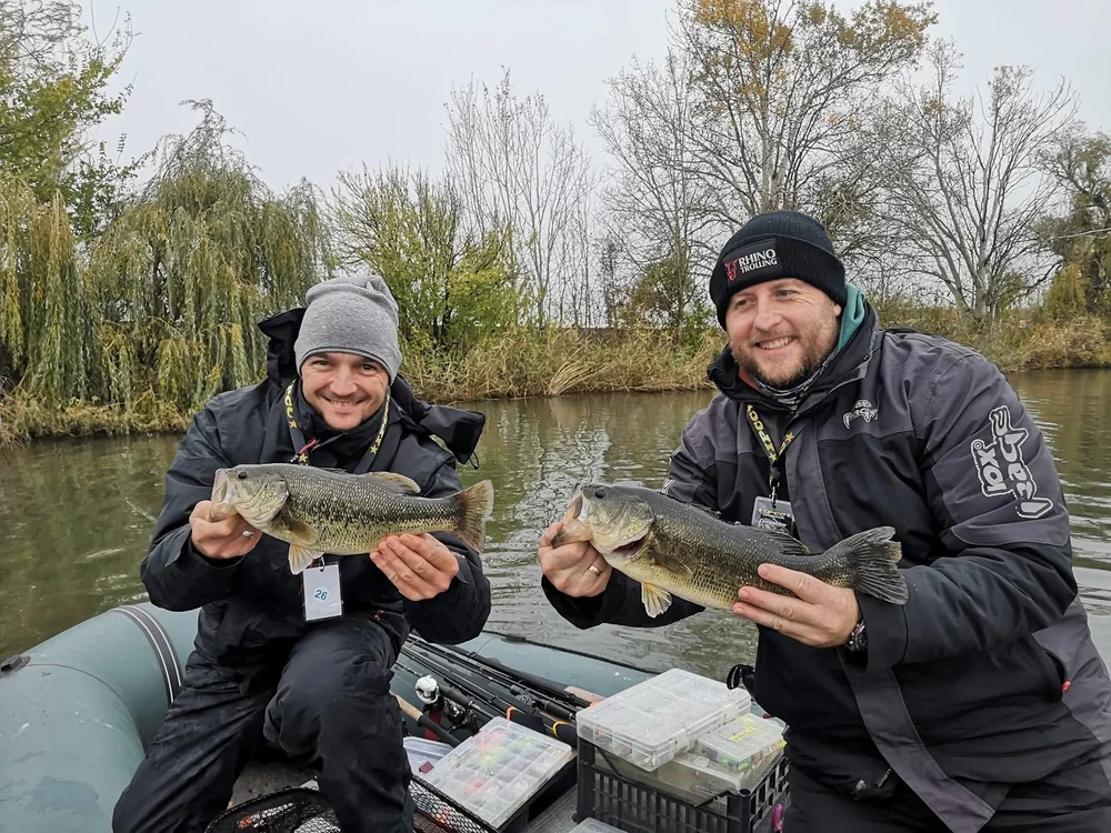 Image - latokep Kft - 5