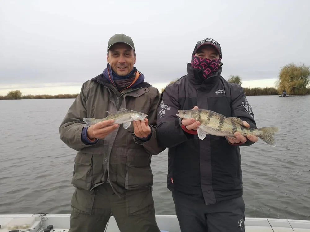 Image - latokep Kft - 6