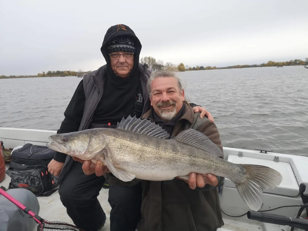 Image - latokep Kft - 7