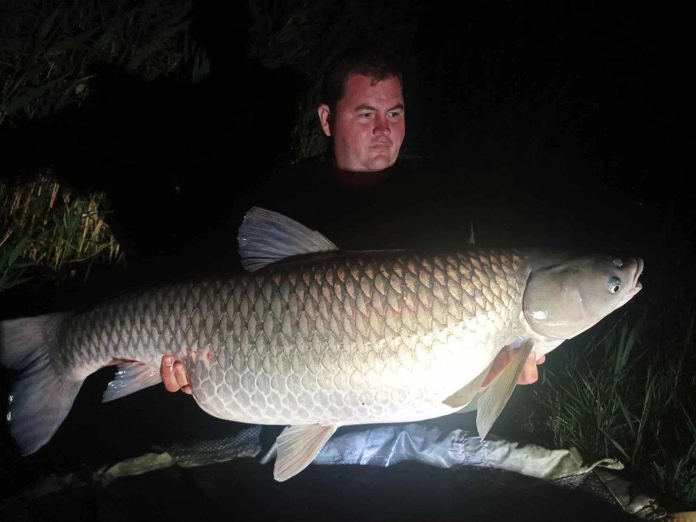 Image - latokep Kft - 1