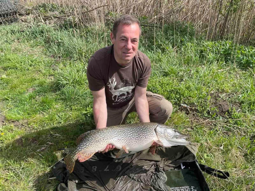 Image - latokep Kft - 1