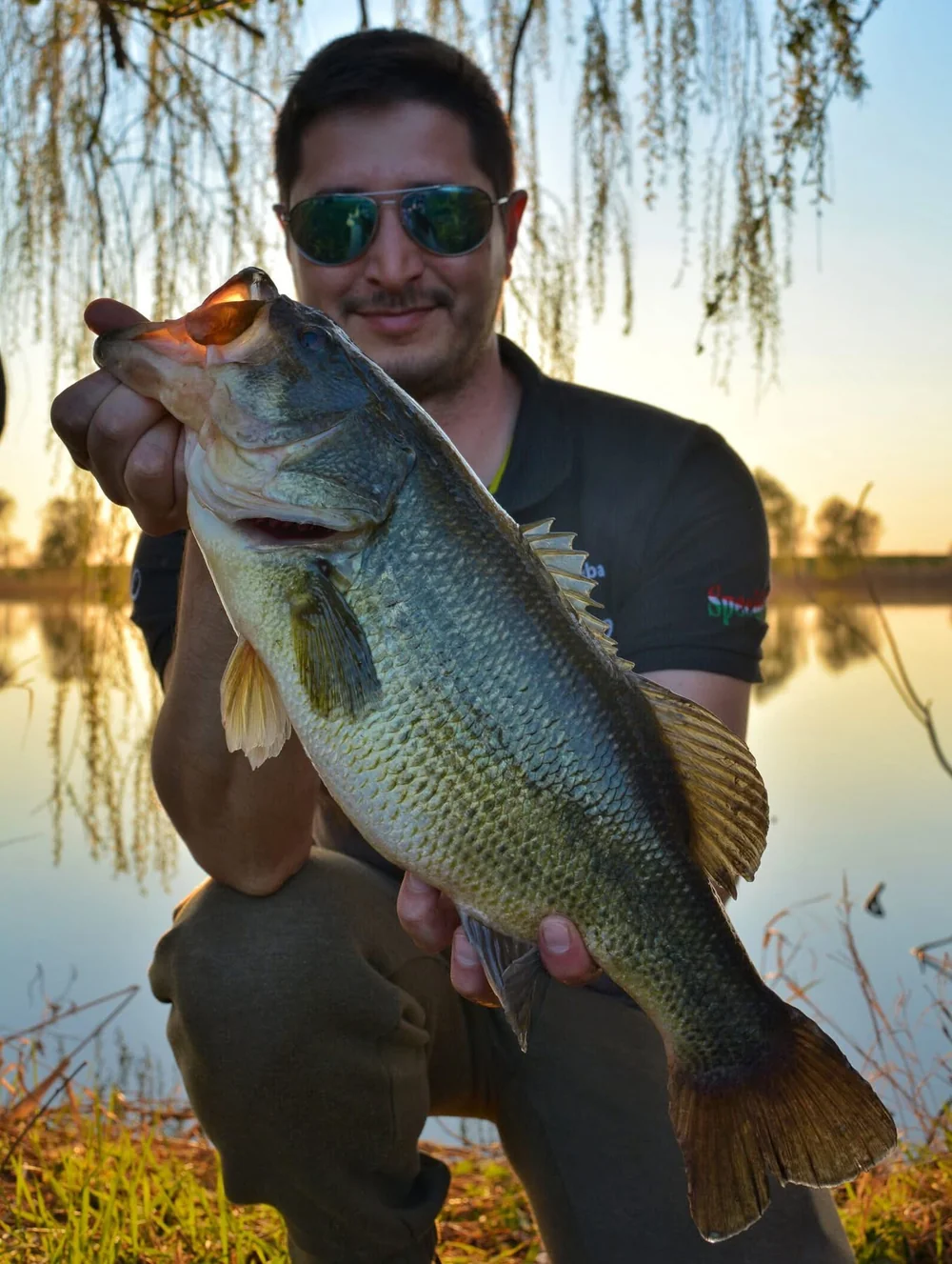 Image - latokep Kft - 1