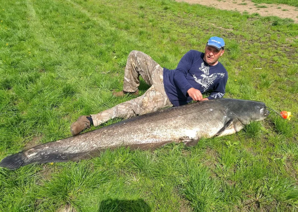 Image - latokep Kft - 1