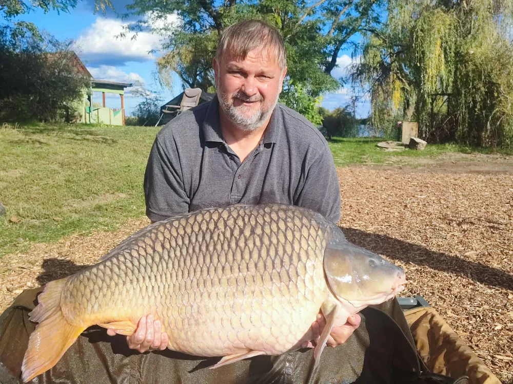 Image - latokep Kft - 1