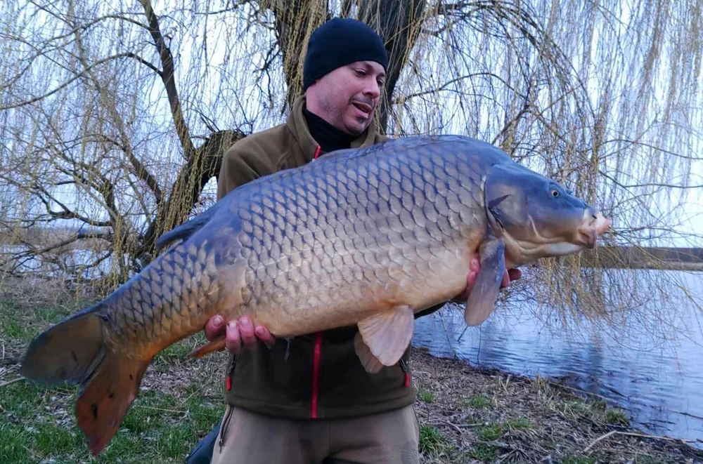 Image - latokep Kft - 6