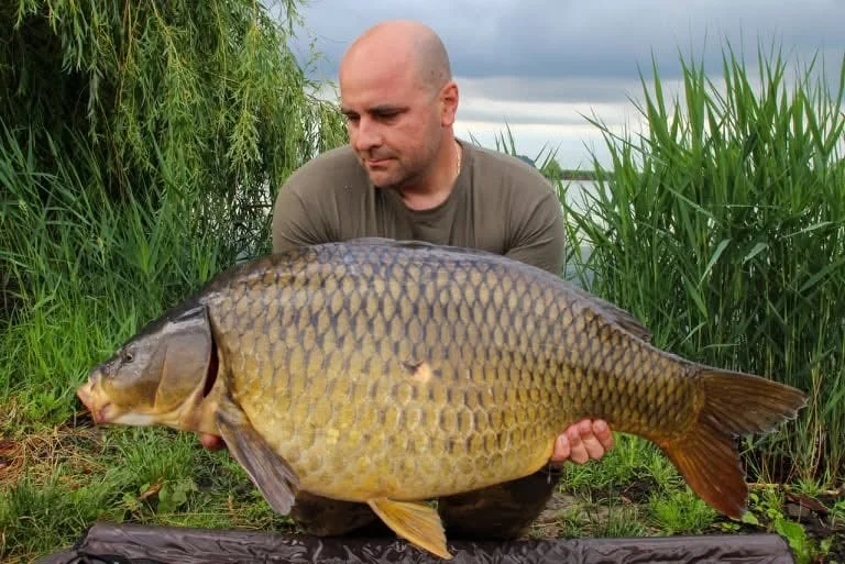 Image - latokep Kft - 7