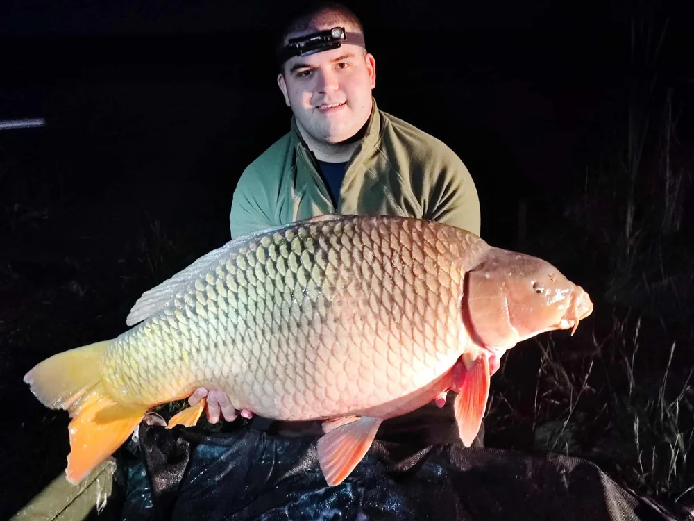 Image - latokep Kft - 5