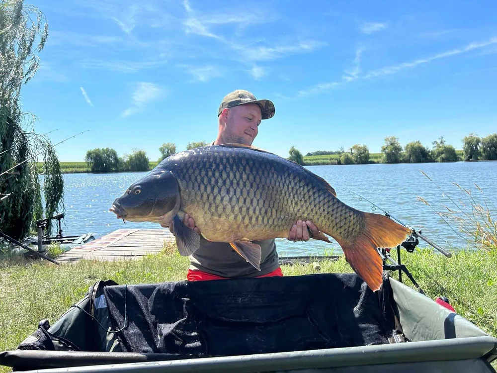 Image - latokep Kft - 8