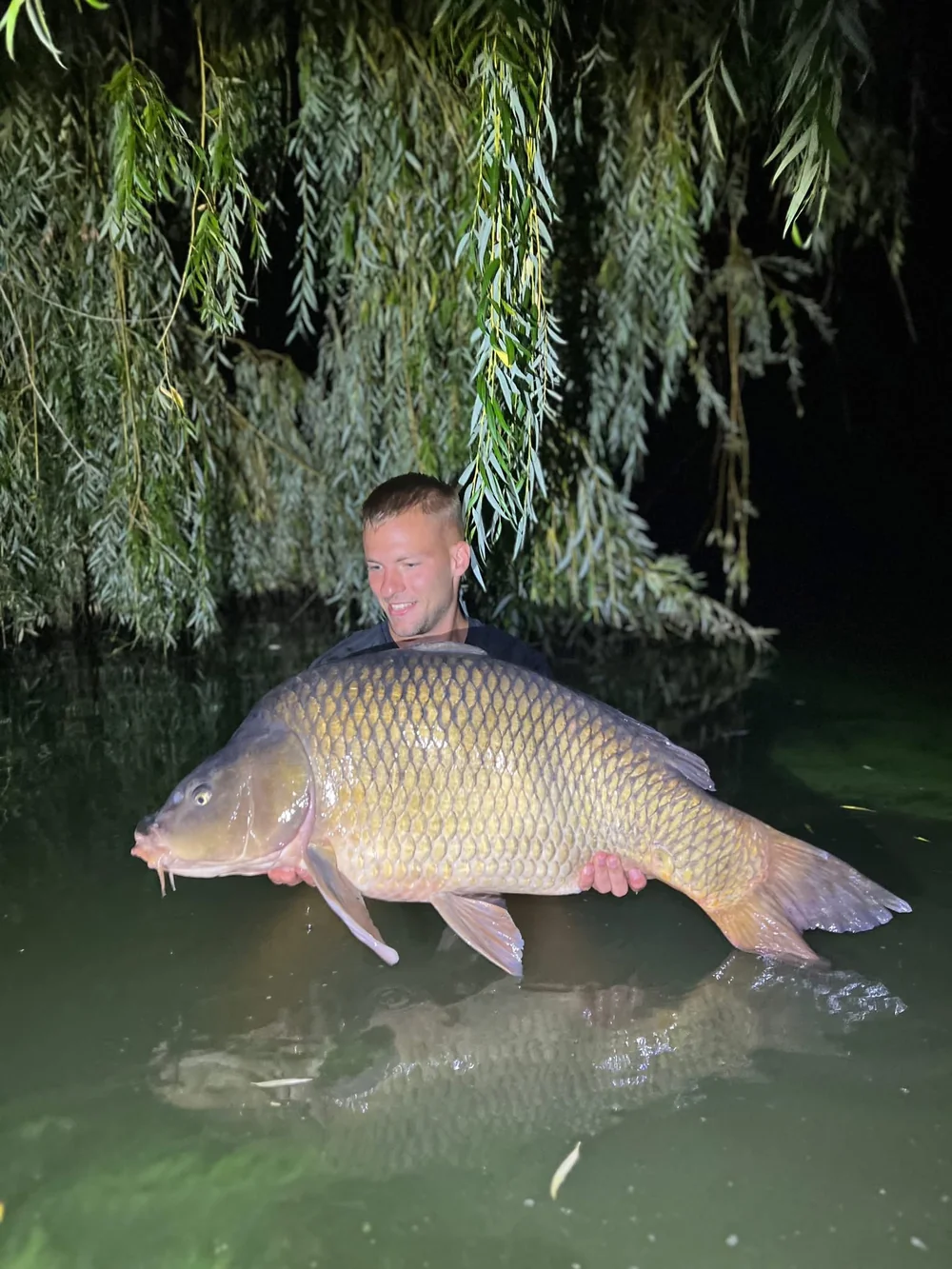 Image - latokep Kft - 3