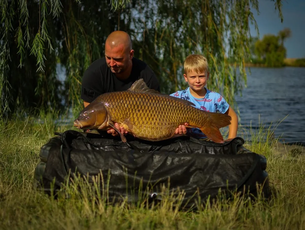 Image - latokep Kft - 4