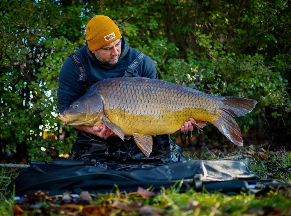 Image - latokep Kft - 2