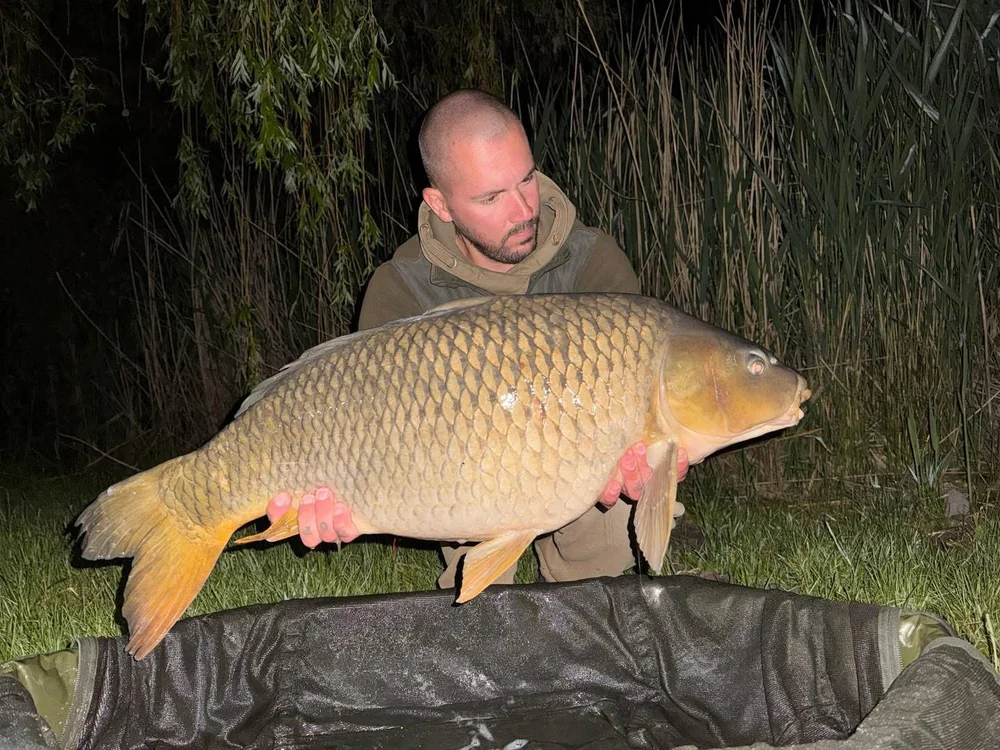 Image - latokep Kft - 10