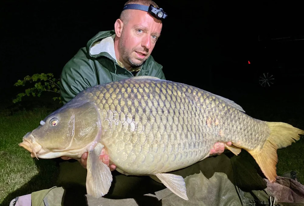 Image - latokep Kft - 9